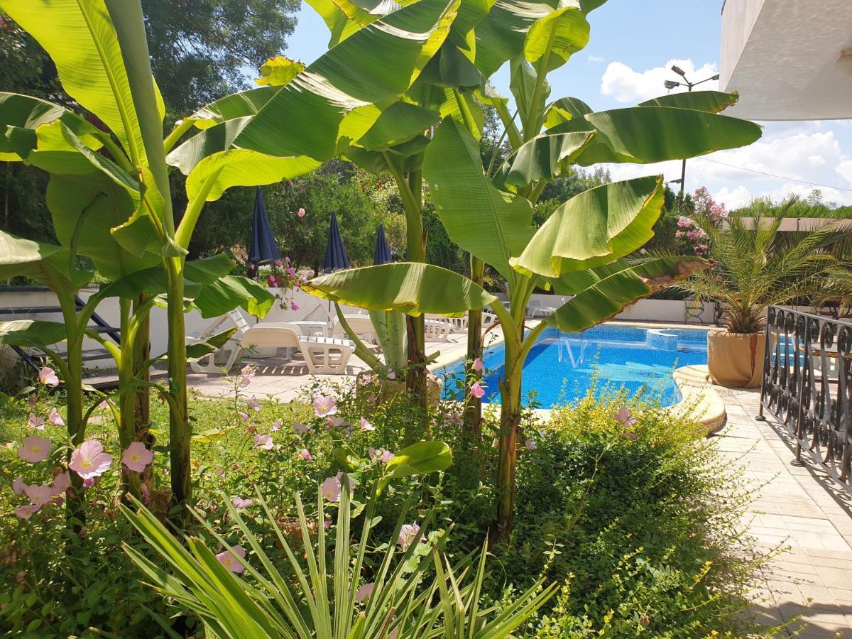 Hotel Feniks Lozenets Luaran gambar