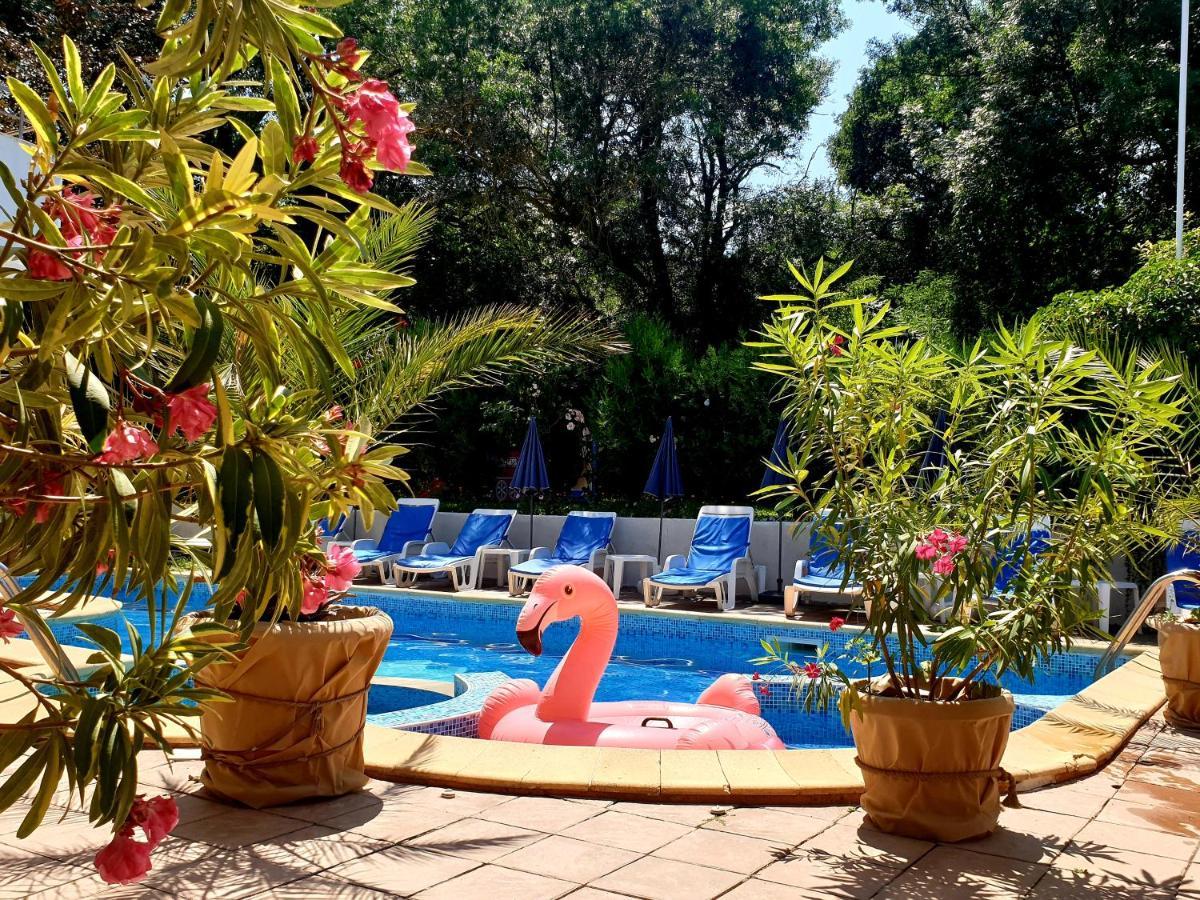 Hotel Feniks Lozenets Luaran gambar